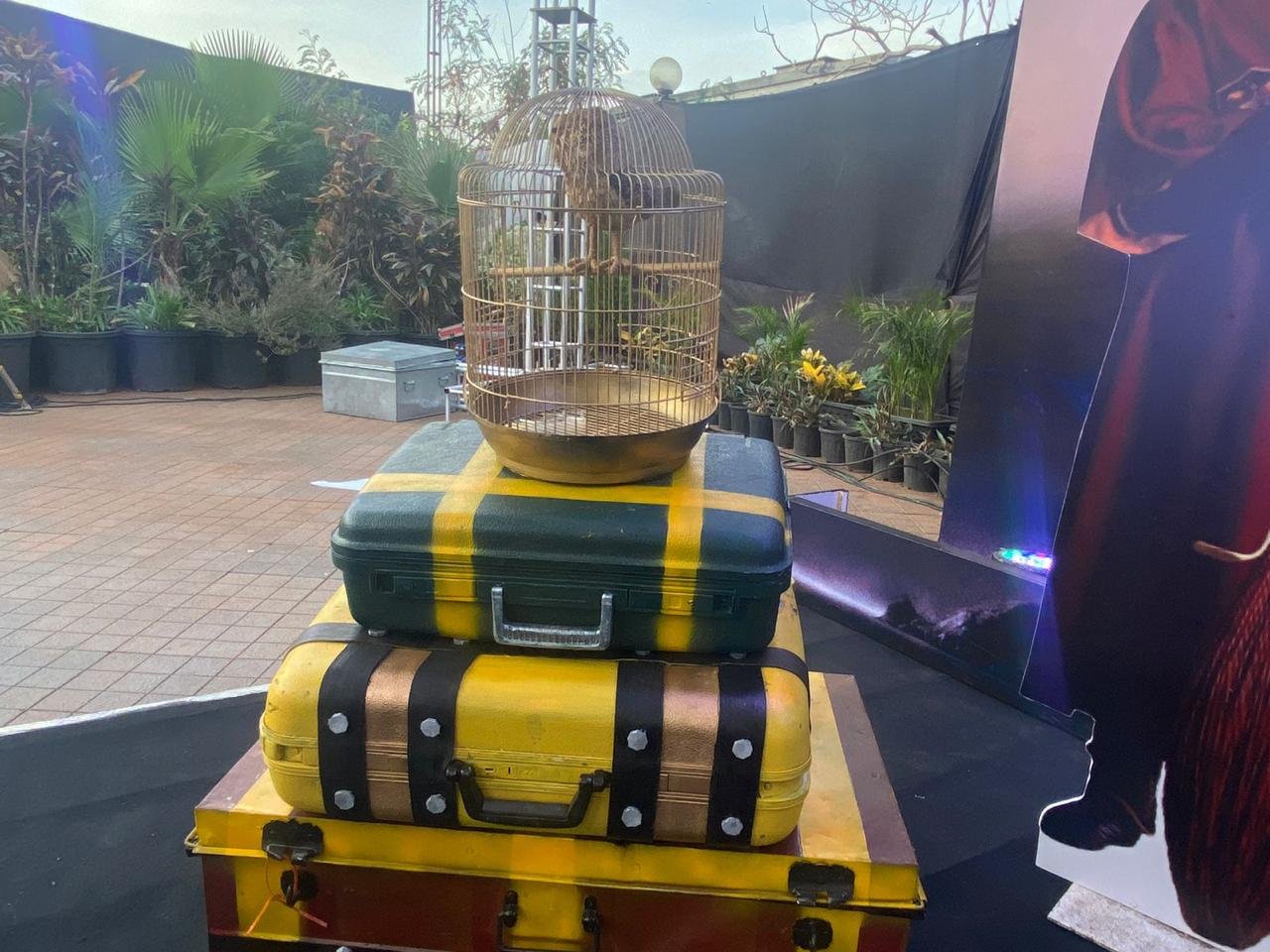 Sparkin wensite content